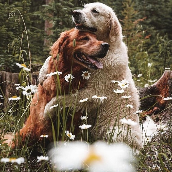 Thanks for stopping by!!  All offers welcome. - Picture 3 of 14